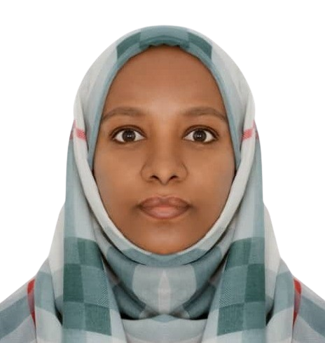 Inas Mahgoub - Nafir LinkedIn